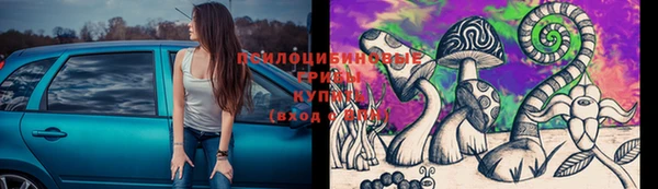 гидра Вязники