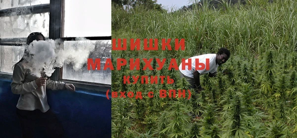 хмурый Вяземский