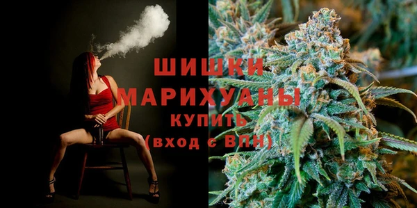 хмурый Вяземский