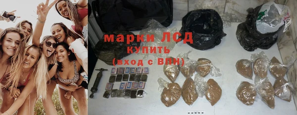 гидра Вязники
